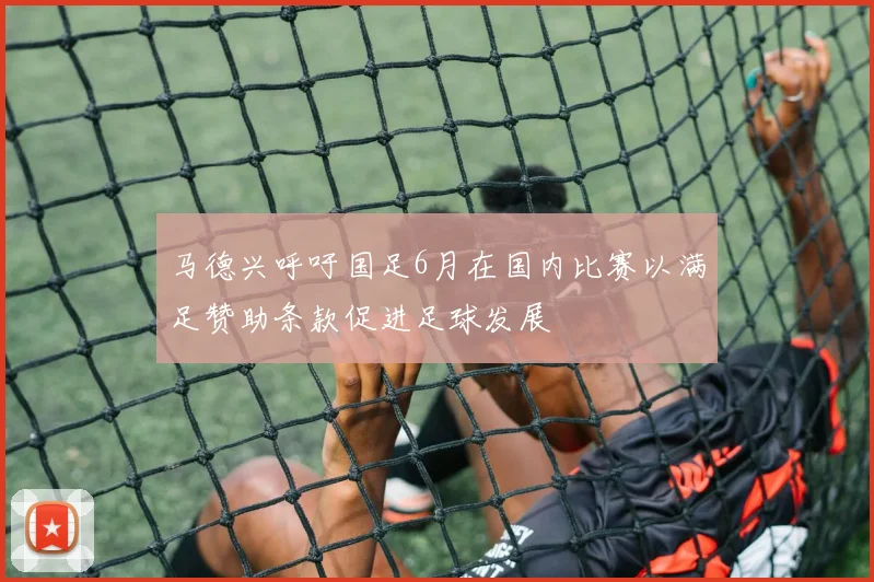 马德兴呼吁国足6月在国内比赛以满足赞助条款促进足球发展